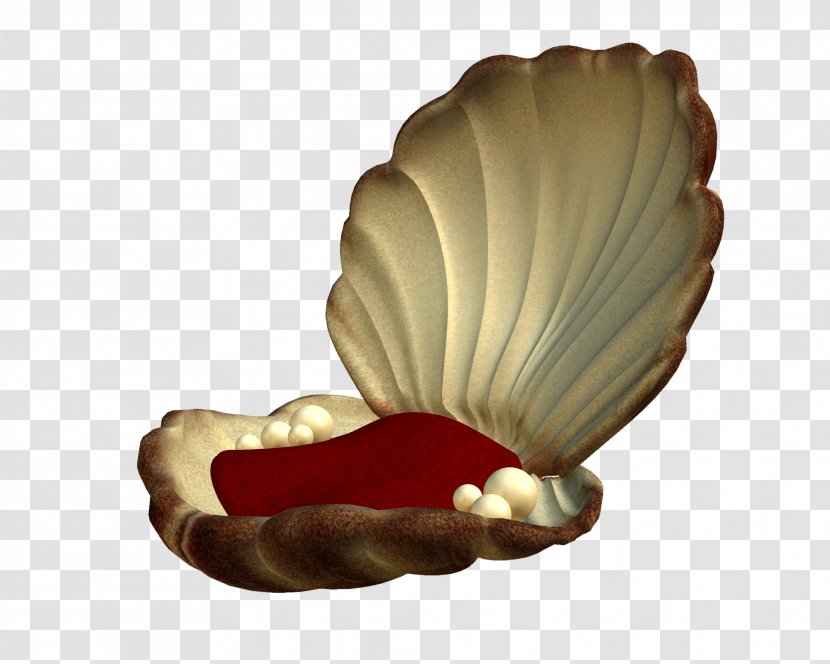 Seashell Pearl Mollusc Shell Clip Art - Jewellery - Maritime Transparent PNG