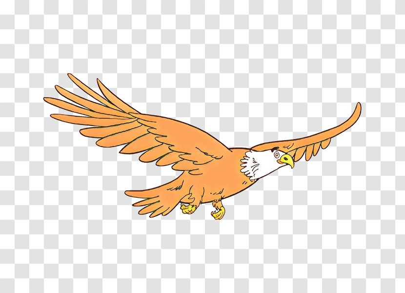 Eagle Logo - Peregrine Falcon - Vulture Tail Transparent PNG
