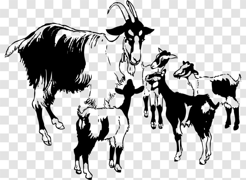 Black Bengal Goat Boer Sheep Poitou Clip Art - Russian White Transparent PNG