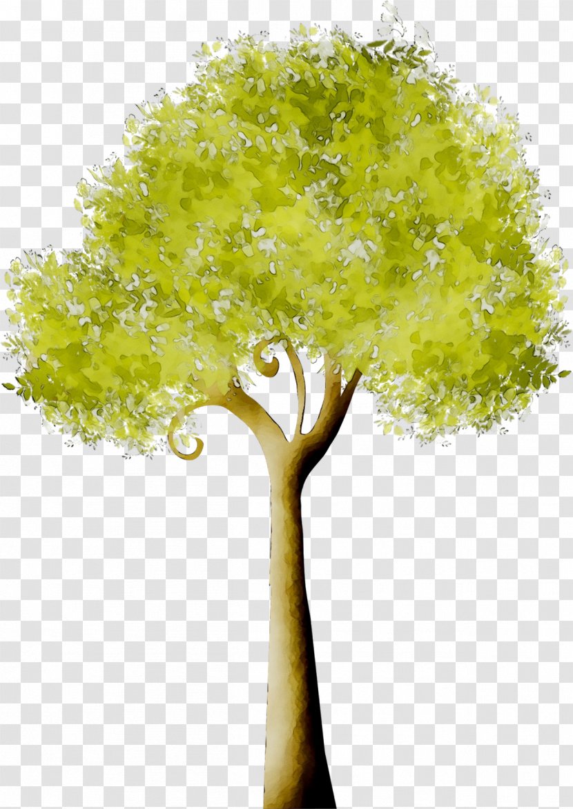 Tree Branch GIF Image - Woody Plant - Leaf Transparent PNG