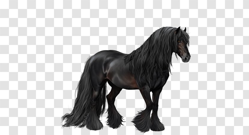 Mane Mustang Stallion Mare Pony - Horse Tack - Quarter Transparent PNG
