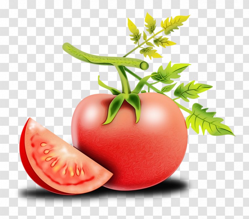 Tomato - Flowering Plant - Food Transparent PNG