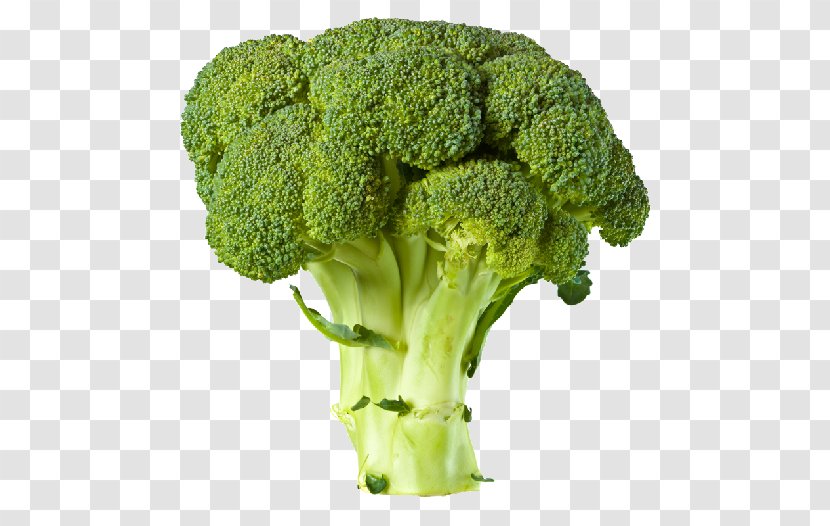 Broccoli Food Vegetable Clip Art - Image File Formats - Transparent Images Transparent PNG