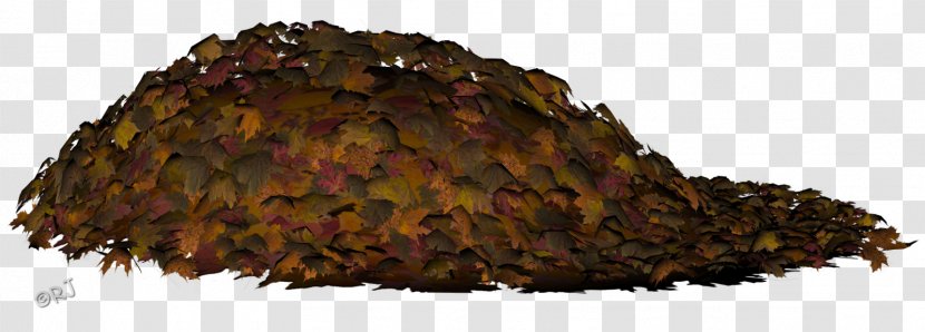 Autumn Leaf Color Tree - Mulch - Dry Leaves Transparent PNG