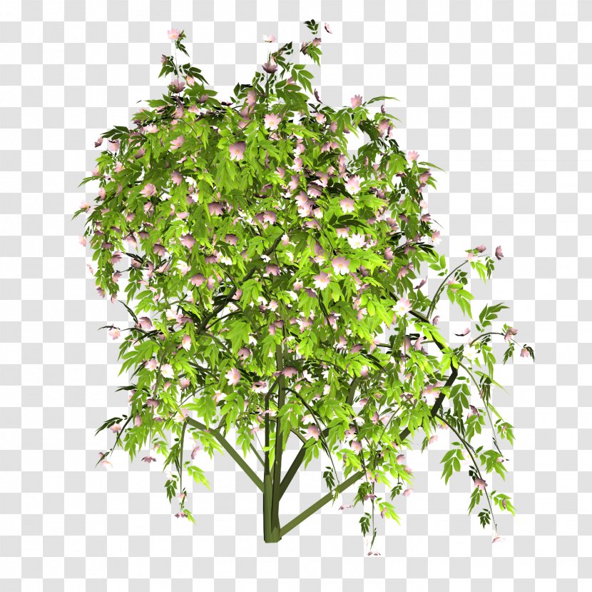 Flowerpot Herb Shrub Branching - Wild Roses Transparent PNG
