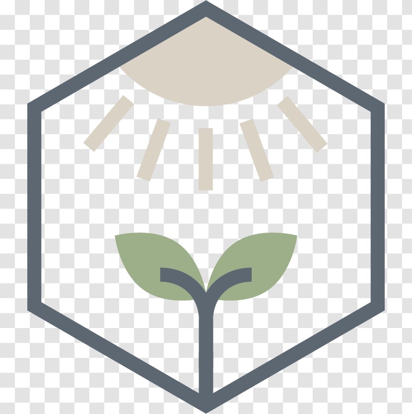 Symbol Leaf Shape Transparent PNG