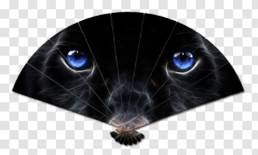 Jaguar Leopard Black Panther Kitten Cat - Rat - Mi Transparent PNG
