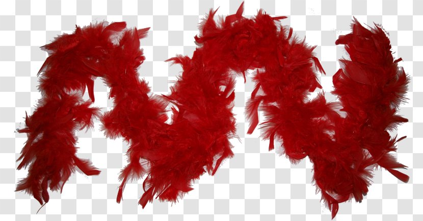 Feather Boa PhotoScape GIMP - Frame - Plumas Transparent PNG