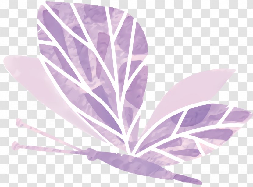 Violet Flower - Leaf - Plant Transparent PNG