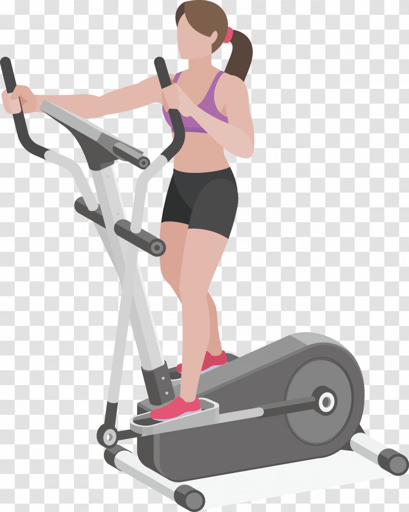 Elliptical Trainer Physical Fitness Centre Exercise - Silhouette - Beauty Legs Muscle Transparent PNG