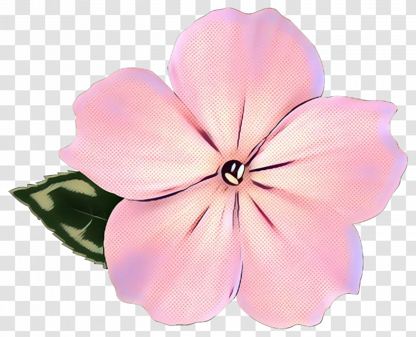 Pink Flower Cartoon - Herbaceous Plant - Geranium Morning Glory Transparent PNG