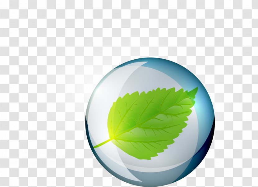 Green Leaf Circle Water Wallpaper - Computer - Bubbles Transparent PNG