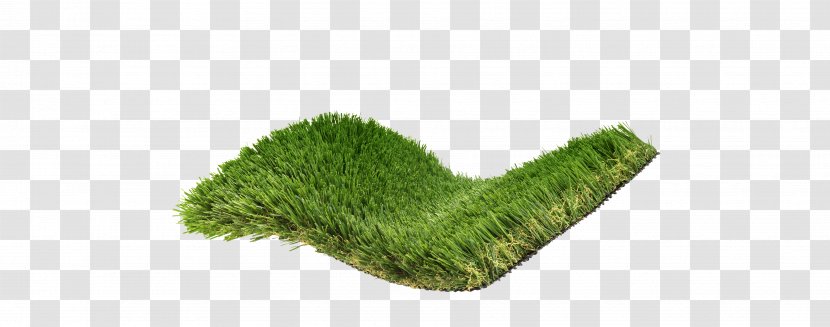 Artificial Turf Lawn Scutch Grass Carpet Mat - Shape - Mongolian Grassland And Lakes Transparent PNG