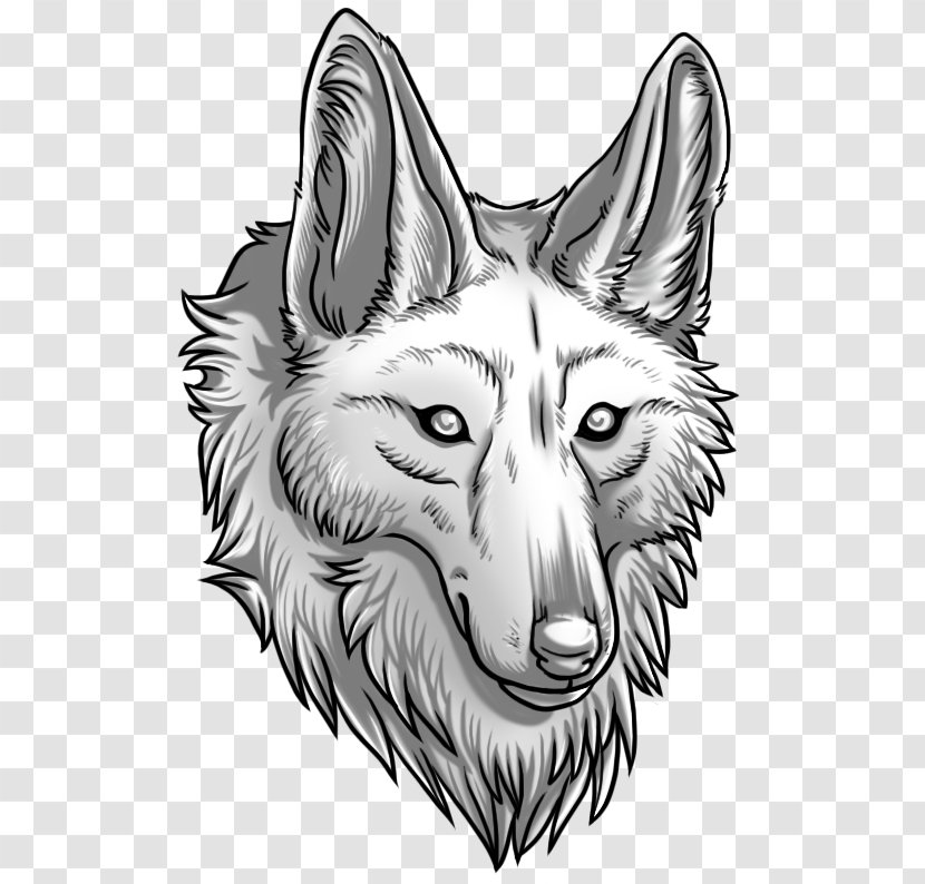 Coyote Dog Puppy Fox Snout - Whiskers Transparent PNG