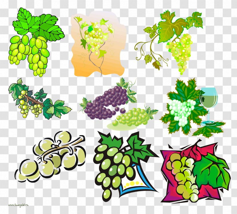 Grape Clip Art - Grapevine Family - Grapes Border Transparent PNG