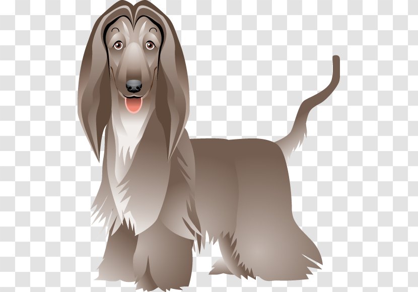 Dog Breed Maltese Hound Clip Art Transparent PNG