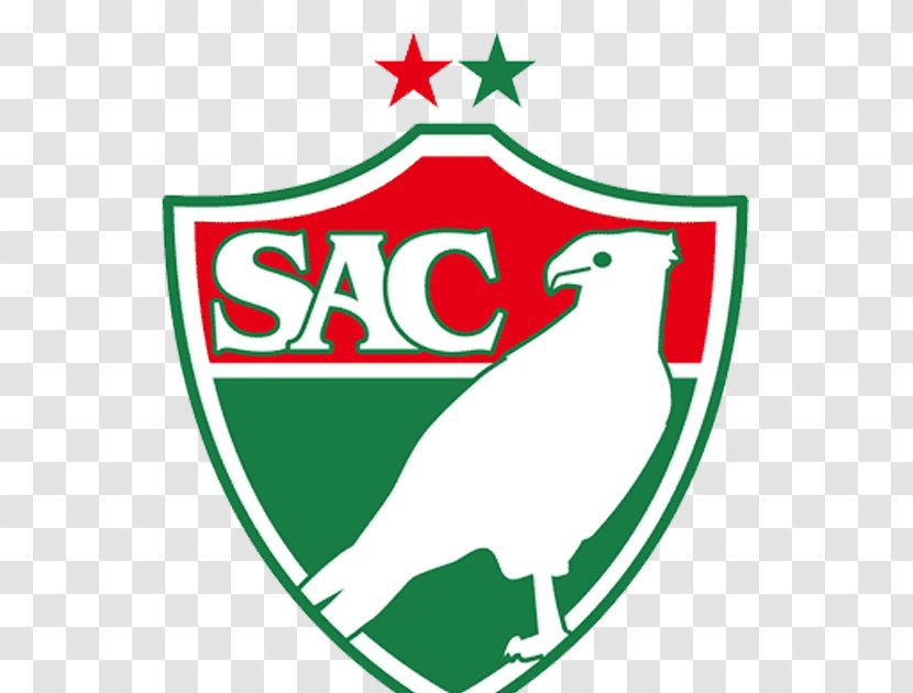 Salgueiro Atlético Clube Campeonato Brasileiro Série C Acreano A - Christmas Ornament - Football Transparent PNG
