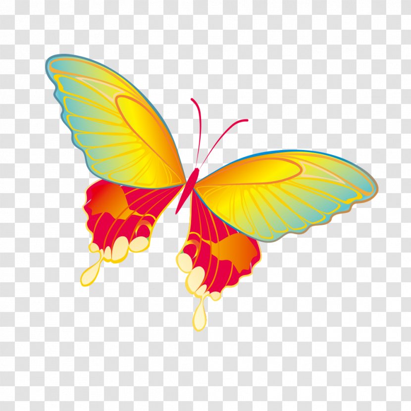 Butterfly Download Clip Art - Insect Transparent PNG