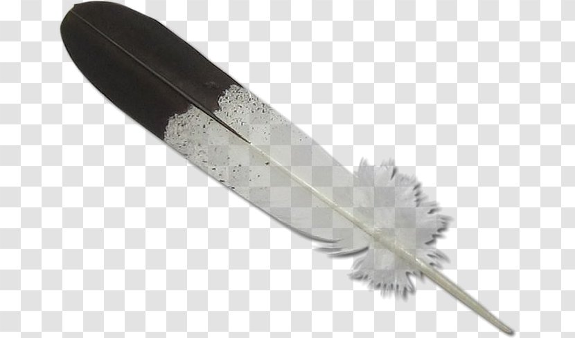Bald Eagle Feather Law Clip Art - Native Americans In The United States Transparent PNG
