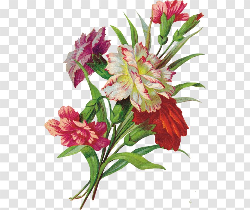 Decoupage Flower Paper Art - Peruvian Lily Transparent PNG
