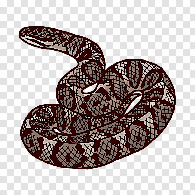 Rattlesnake Boa Constrictor Kingsnakes Vipers Cartoon Transparent PNG