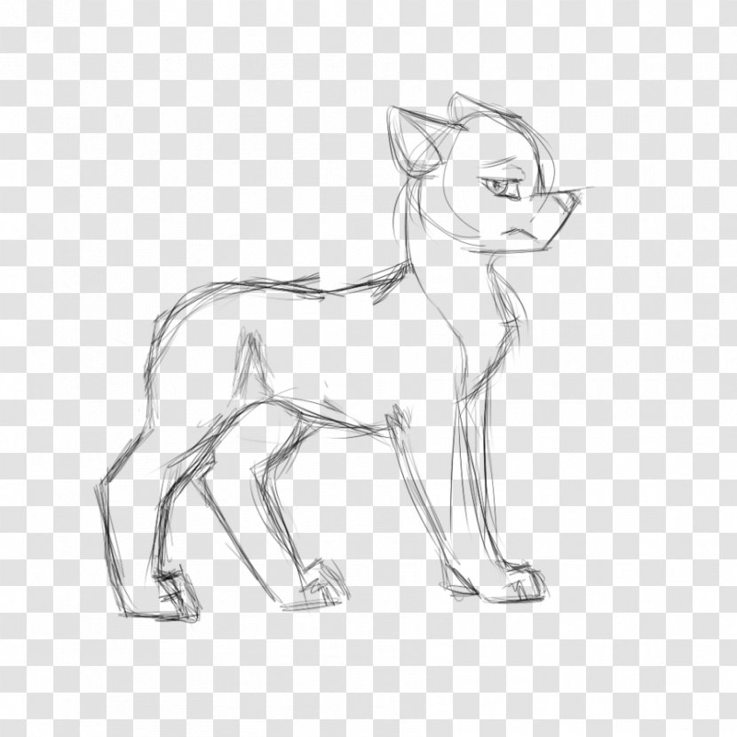 Whiskers Dog Breed Cat Sketch - Artwork Transparent PNG