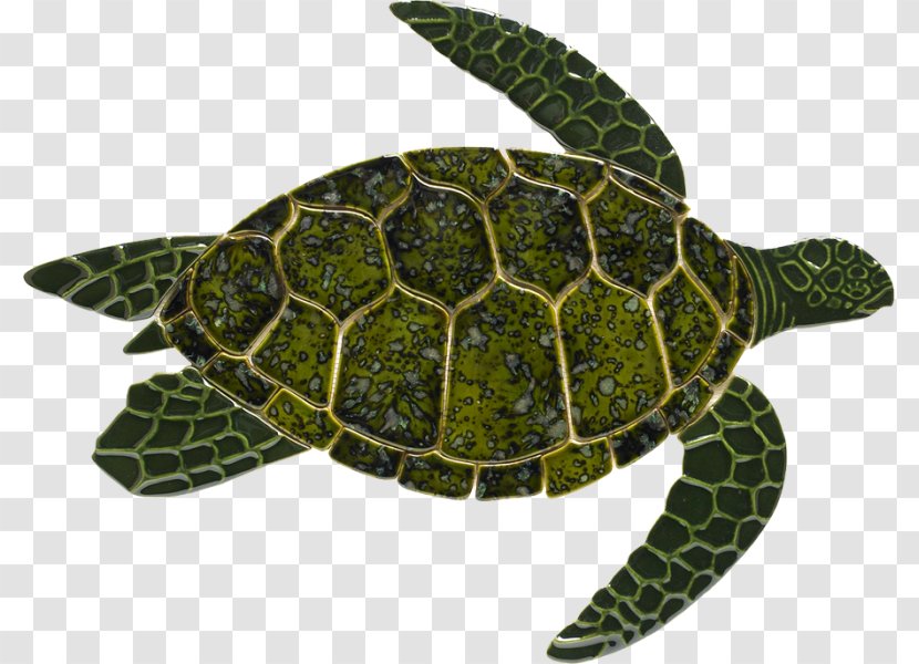 Loggerhead Sea Turtle Reptile Green - Fauna Transparent PNG