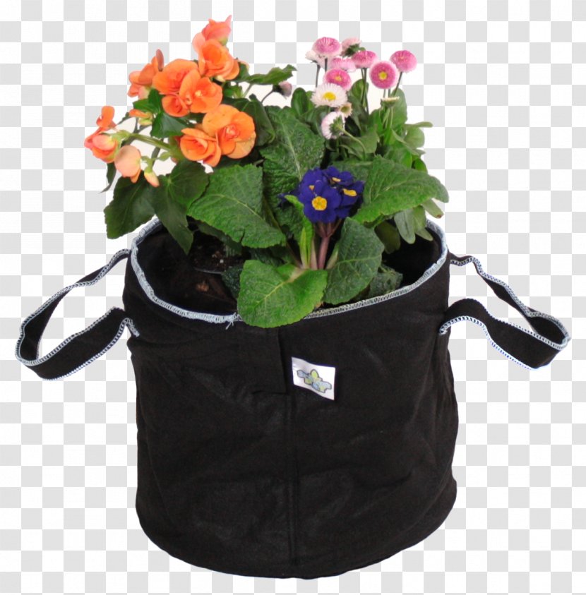Flowerpot Container Garden Pruning Gardening Plants - Forget Me Not Flowers In A Pot Transparent PNG