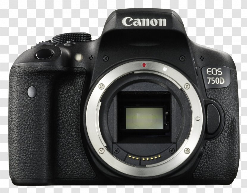 Canon EOS 700D 800D 200D Digital SLR Camera - Eos 800d Transparent PNG