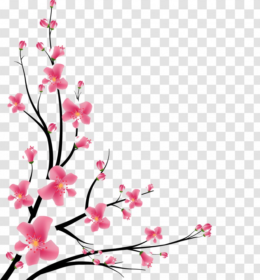 Cherry Blossom Cherries Vector Graphics Design - Flower Arranging - Decking Transparent PNG