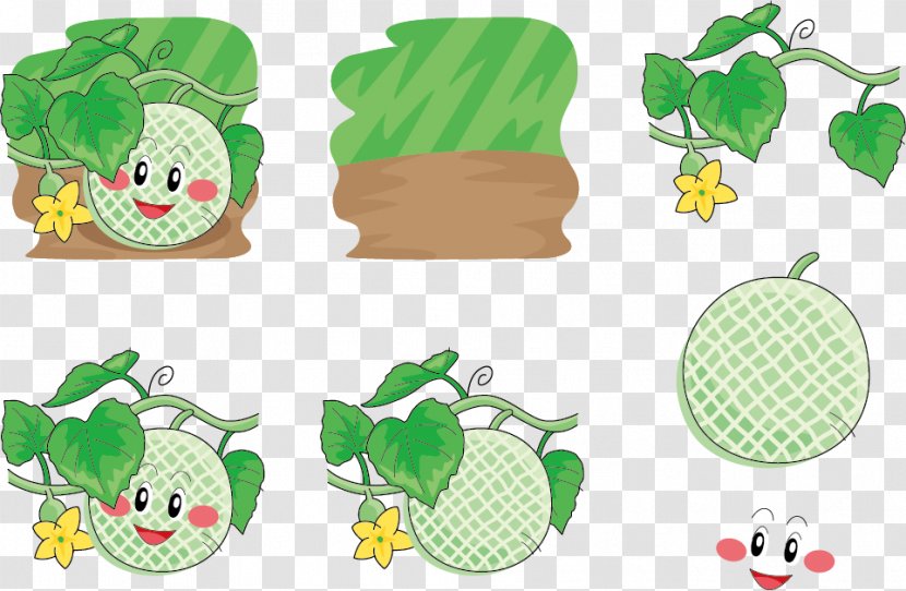 Hami Melon Download Cartoon Illustration - Fruit - Under Expression Vector Leaf Transparent PNG