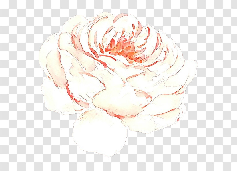 White Pink Drawing Sketch Watercolor Paint Transparent PNG