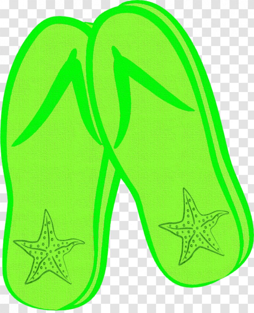 Shoe Flip-flops Clothing Hat Clip Art - Plant - Bermuda Day Transparent PNG