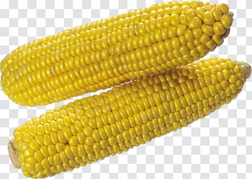 Corn On The Cob Maize Sweet Corncob - Transparent Images Transparent PNG