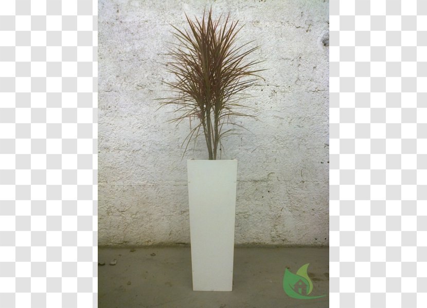 Grasses Vase Branching Family Transparent PNG