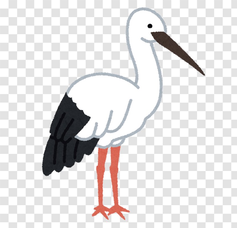 White Stork Crane Bird Beak Oriental Transparent PNG