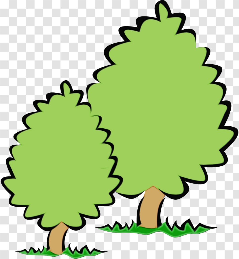 Vorarlberg Tree Drawing Video Austrian Red Cross - Austria - Pine Family Colorado Spruce Transparent PNG