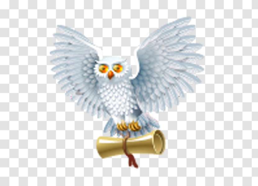 Fictional Universe Of Harry Potter And The Half-Blood Prince Draco Malfoy - Bird Prey Transparent PNG