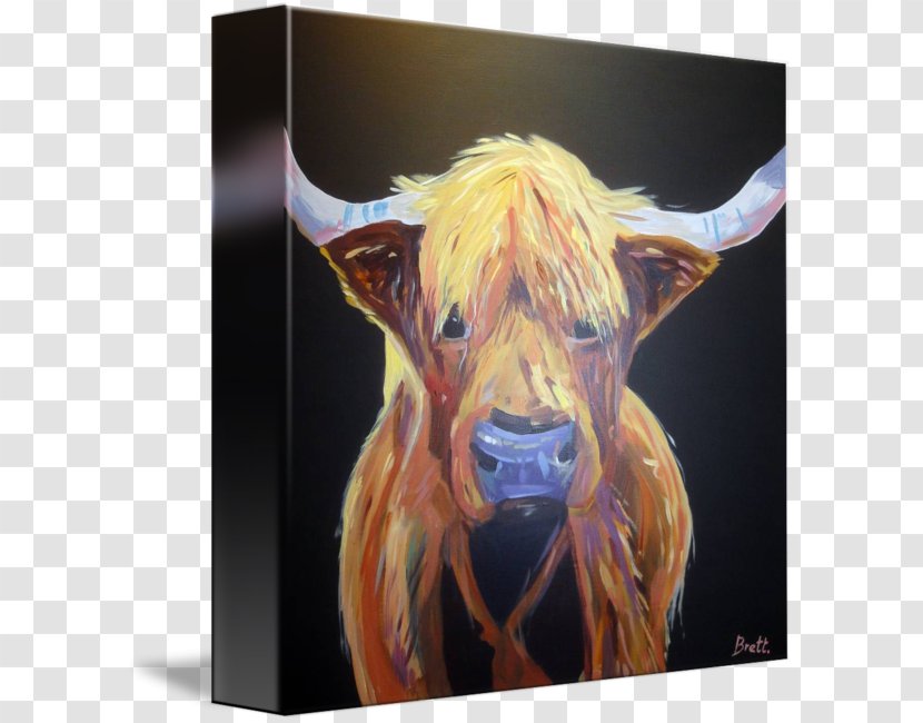 Cattle Painting Snout Jeffrey Horn - Highland Cow Transparent PNG