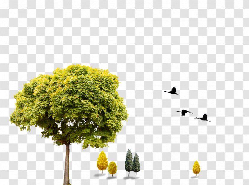 Download Computer File - Houseplant - Green Trees Transparent PNG