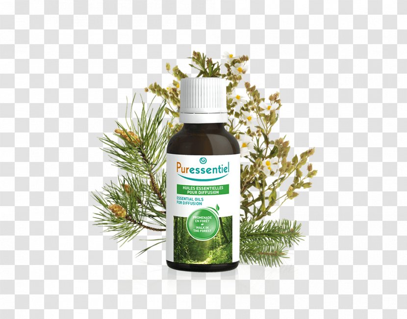 Puressentiel Respiratory Essential Oils (For Diffuser) 30ml PURESSENTIEL DIFFUSE Air Pur Diffusion Forest Walk - Diffuser - Oil Transparent PNG