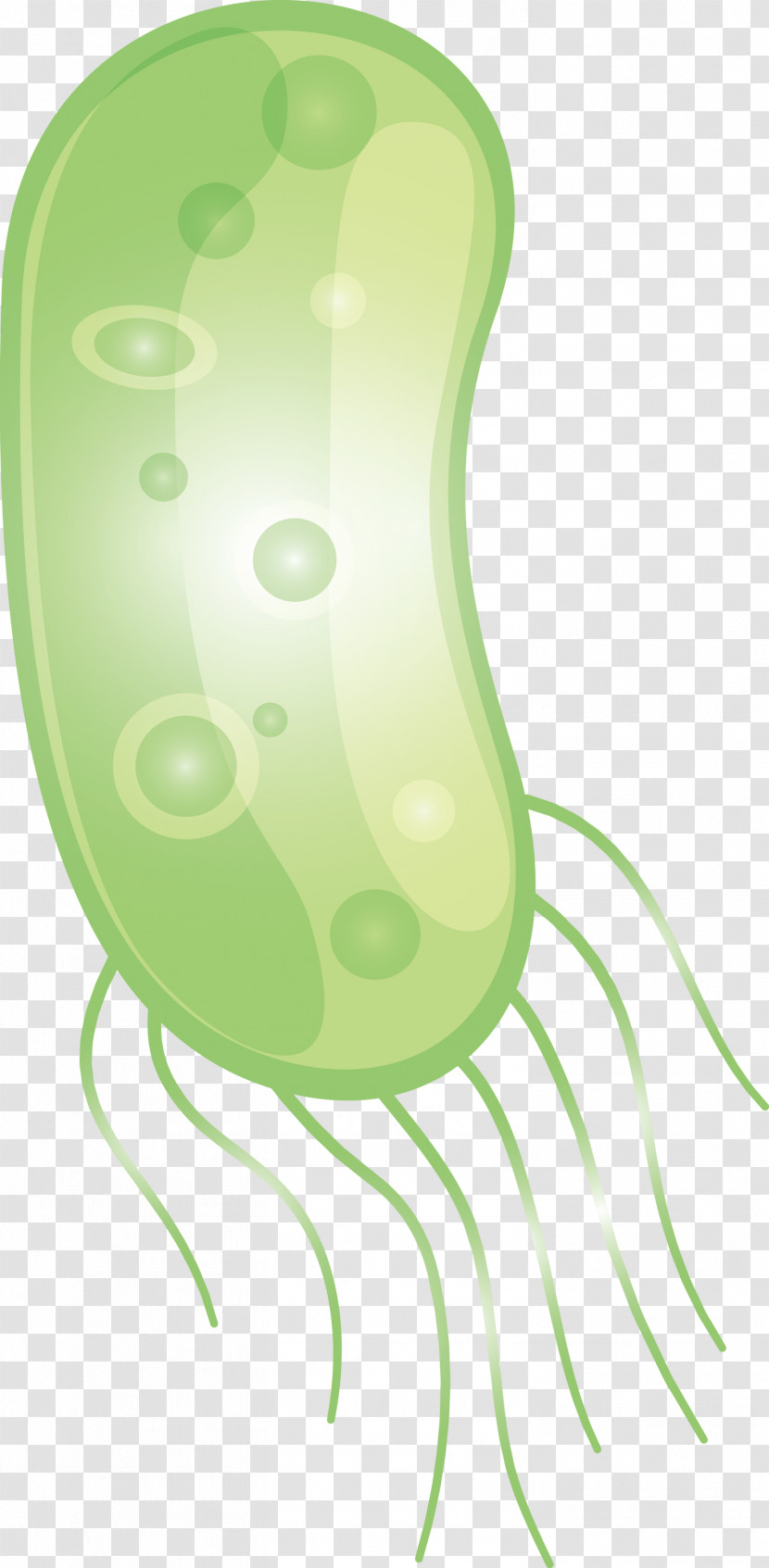 Coronavirus Corona COVID Transparent PNG