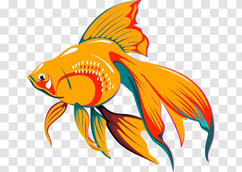 Goldfish Koi Aquarium Clip Art - Tropical Fish Transparent PNG