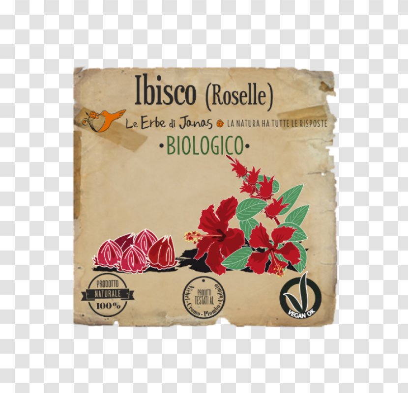 Roselle Shoeblackplant Herb Le Erbe Di Janas Srl Henna - Petal - Hibiscus Sabdariffa Transparent PNG