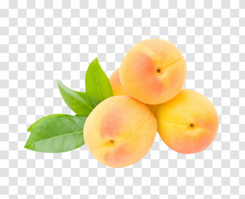 Peach Nutrient Apricot Fruit Food - Dried - Apricots Transparent PNG