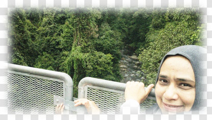 The Tree Top Walk Sungai Sedim Karanga - Universiti Utara Malaysia - Subhanallah Transparent PNG