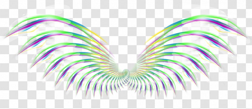 Wing Color Computer File - Heart - Pattern Wings Transparent PNG