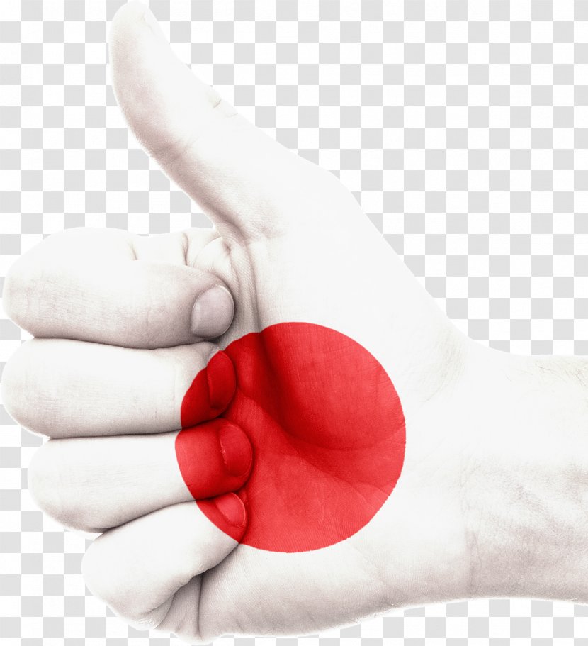 Flag Of Japan South Korea Argentina - Iran Transparent PNG