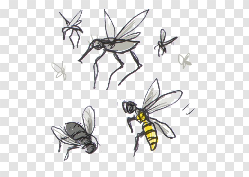 Honey Bee Clip Art Insect Bites And Stings - Wing Transparent PNG