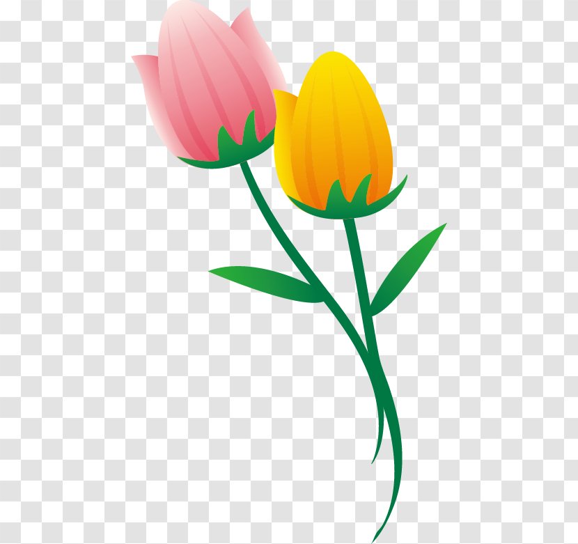 Tulip Clip Art - Plant Stem Transparent PNG